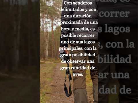 cómo llegar a velilla de san antonio