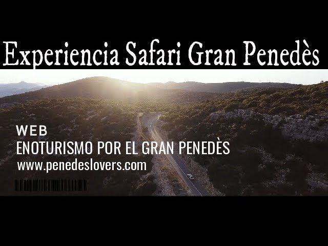 cómo llegar a vilafranca del penedés