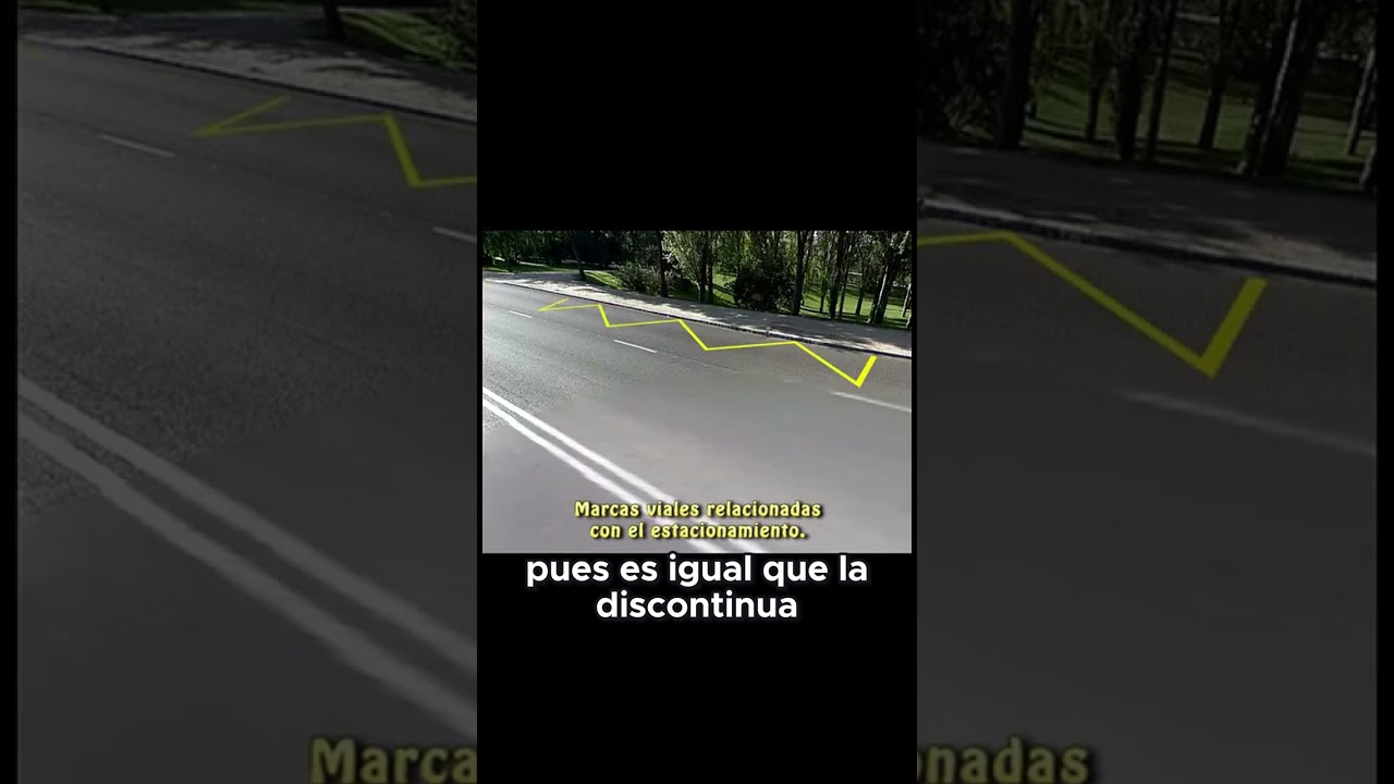 la marca vial amarilla qué significa