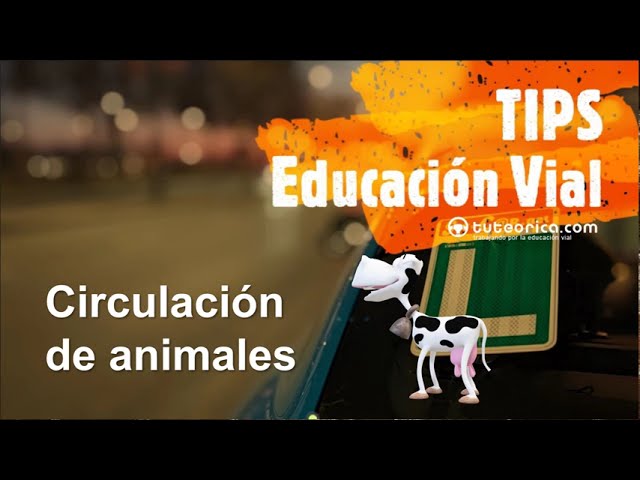 por donde debe circular un rebaño