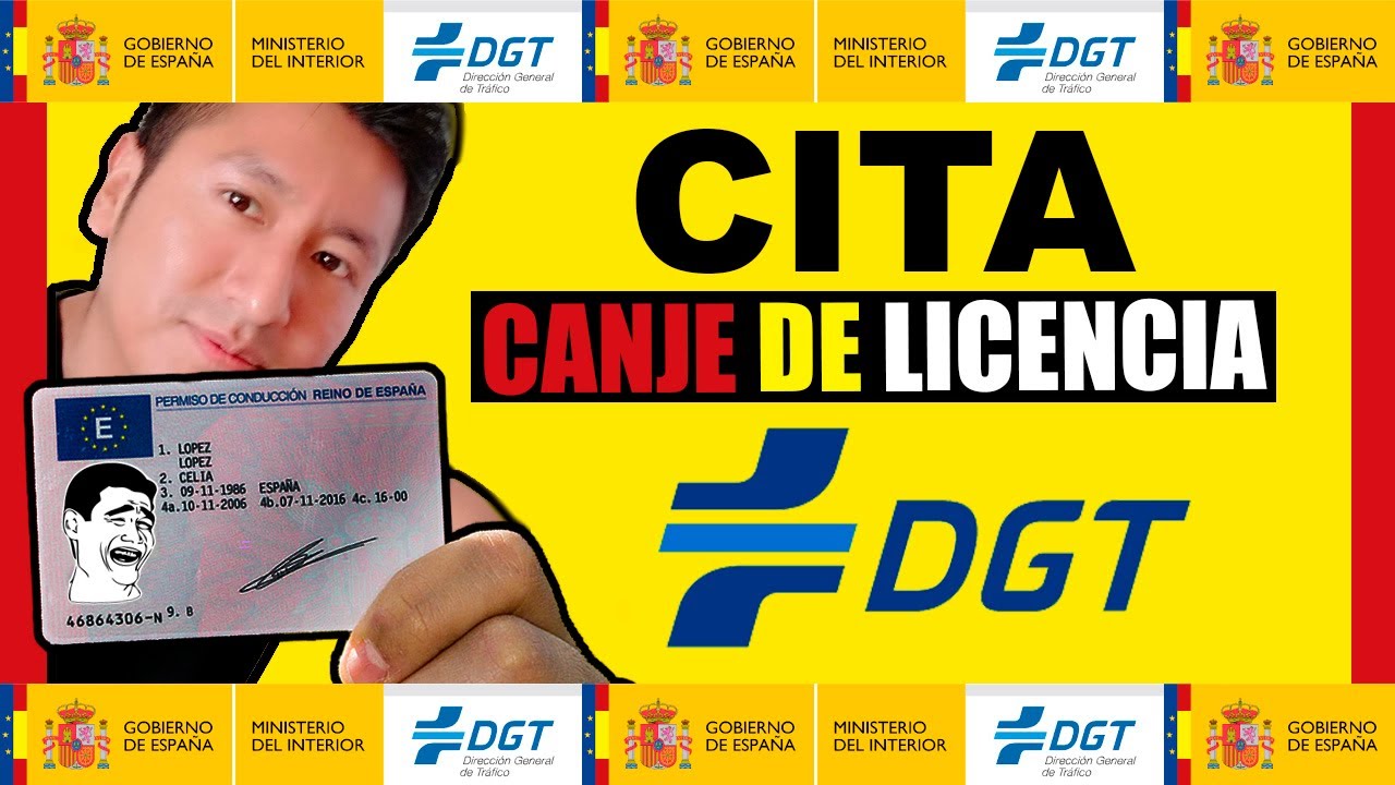 solicitud canje permiso de conducir pdf
