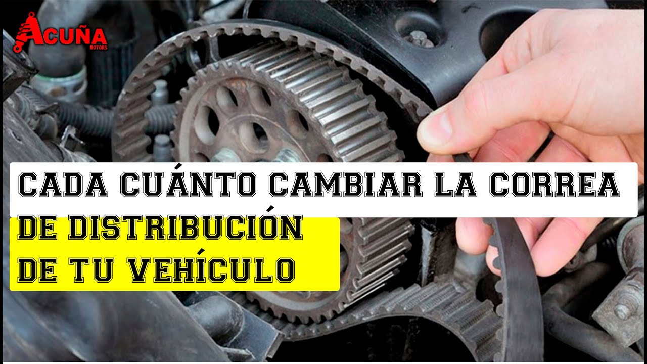 cada cuanto se cambia la distribución