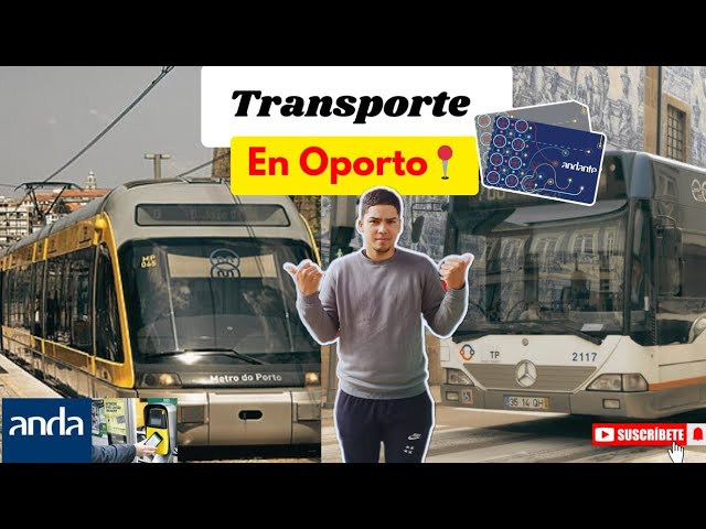 como sacarse el título de transportista en portugal