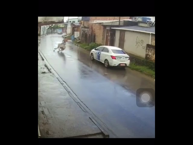 conducir durante mucho tiempo a una velocidad elevada
