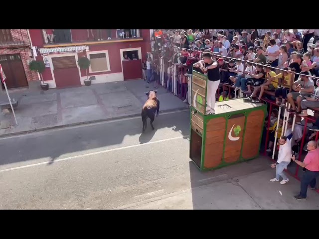 el tiempo en candeleda 15 dias