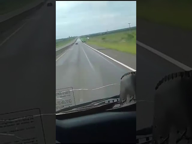 en caso de lluvia se debe circular con precaución porque