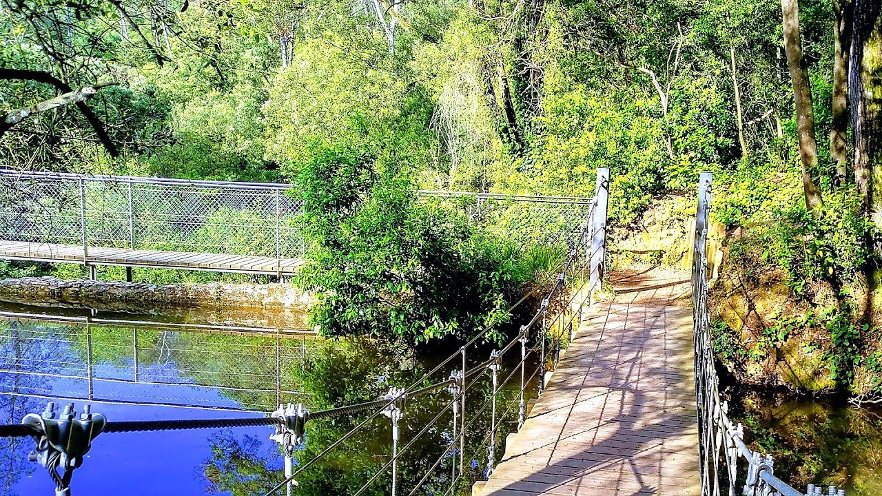 fotos de soc mollet del vallès