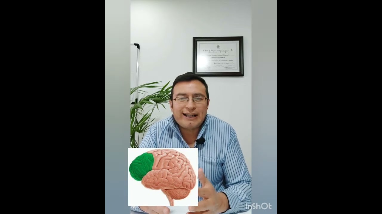 inteligencia limite y carnet de conducir