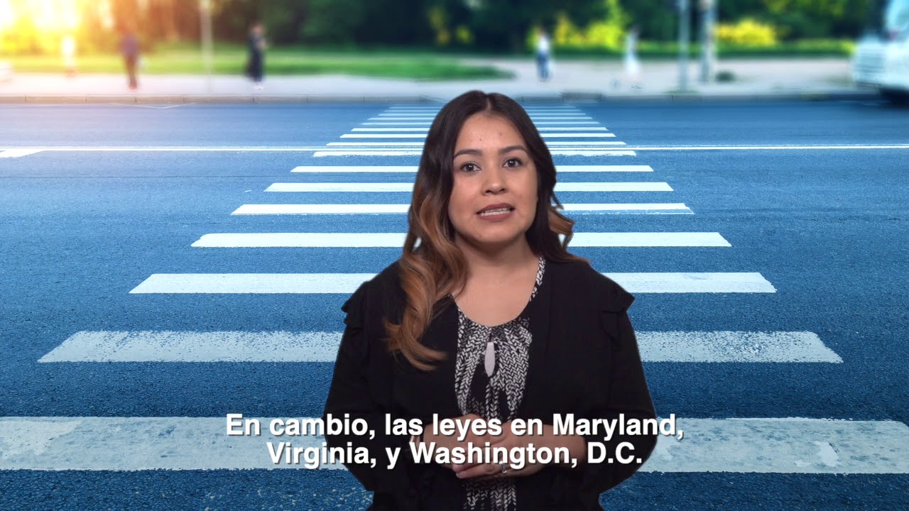 los vehículos deben ceder el paso a los peatones cuando