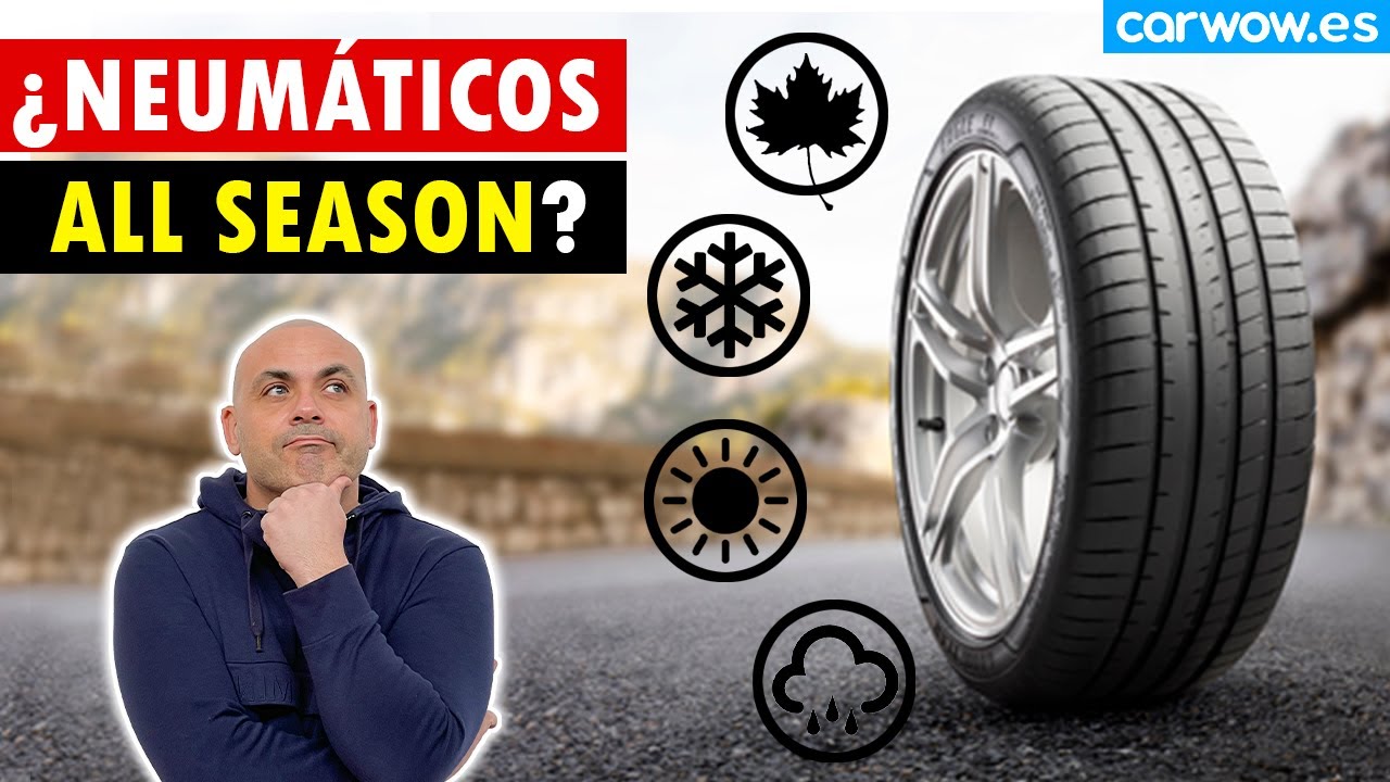 neumáticos m+s para todo el año
