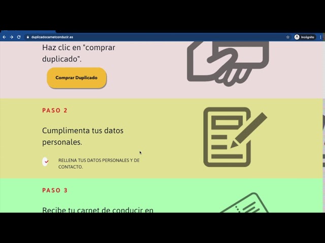 pedir duplicado de carnet de conducir