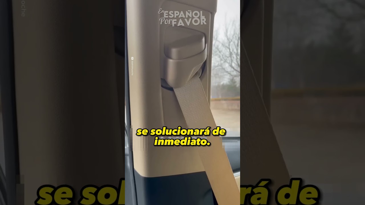 porque los taxistas no llevan cinturón