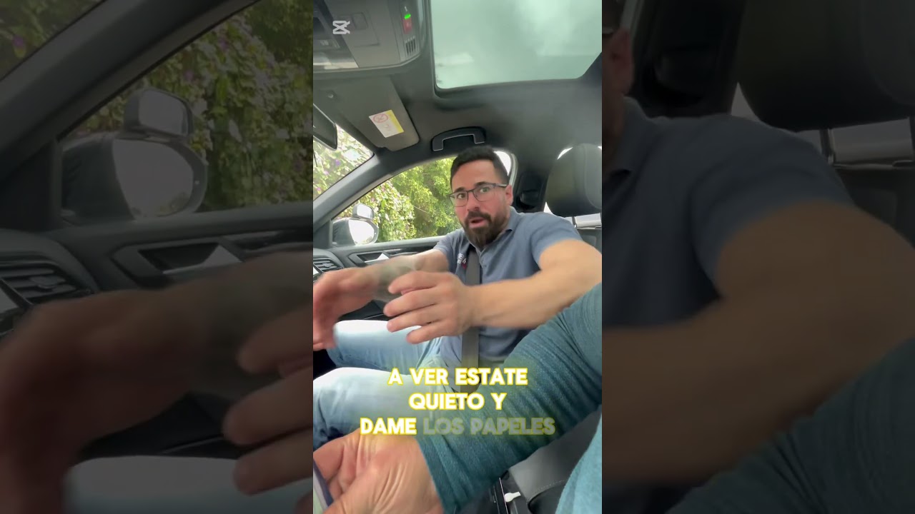 tabla de campos permiso de circulación