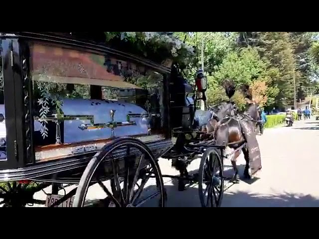 carrozas fúnebres antiguas tiradas por caballos