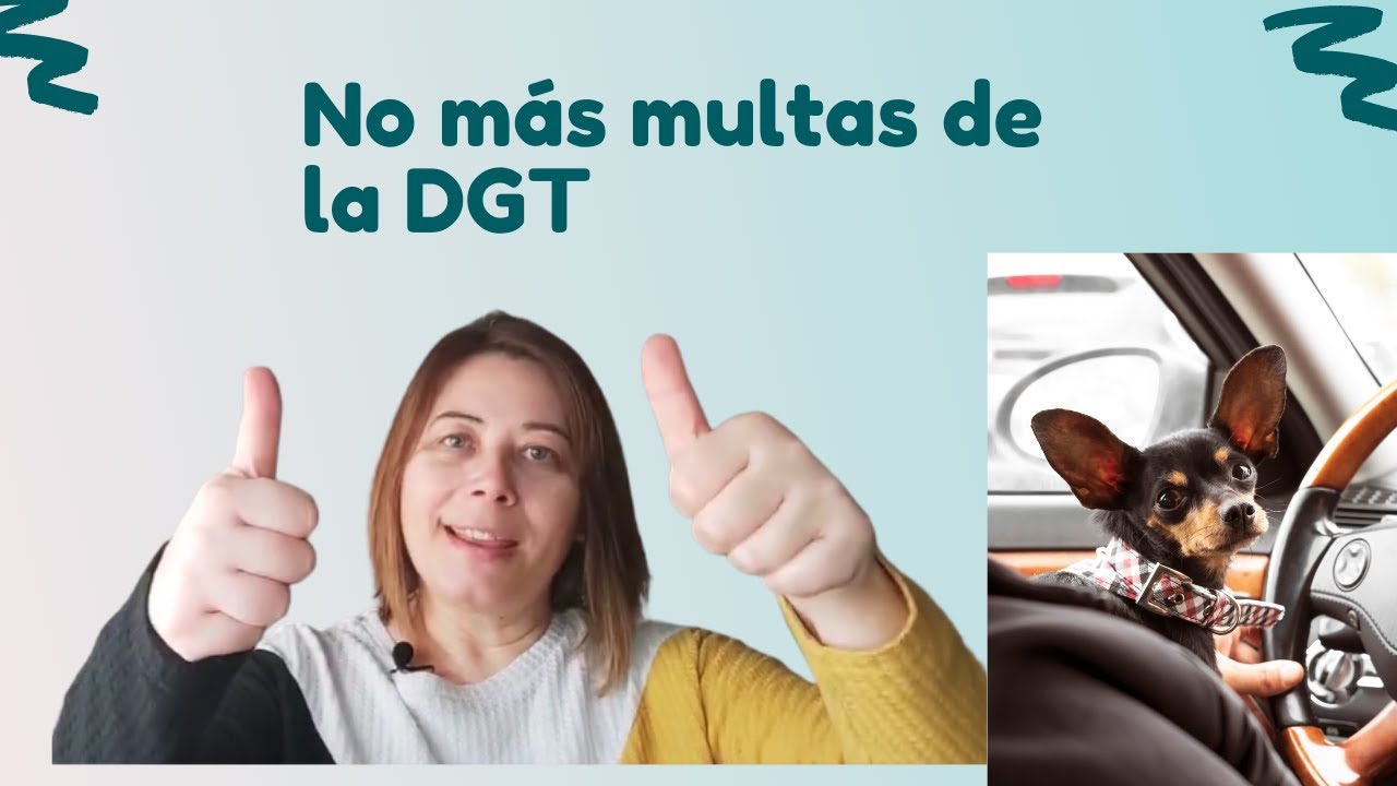 como llevar perros en el coche dgt