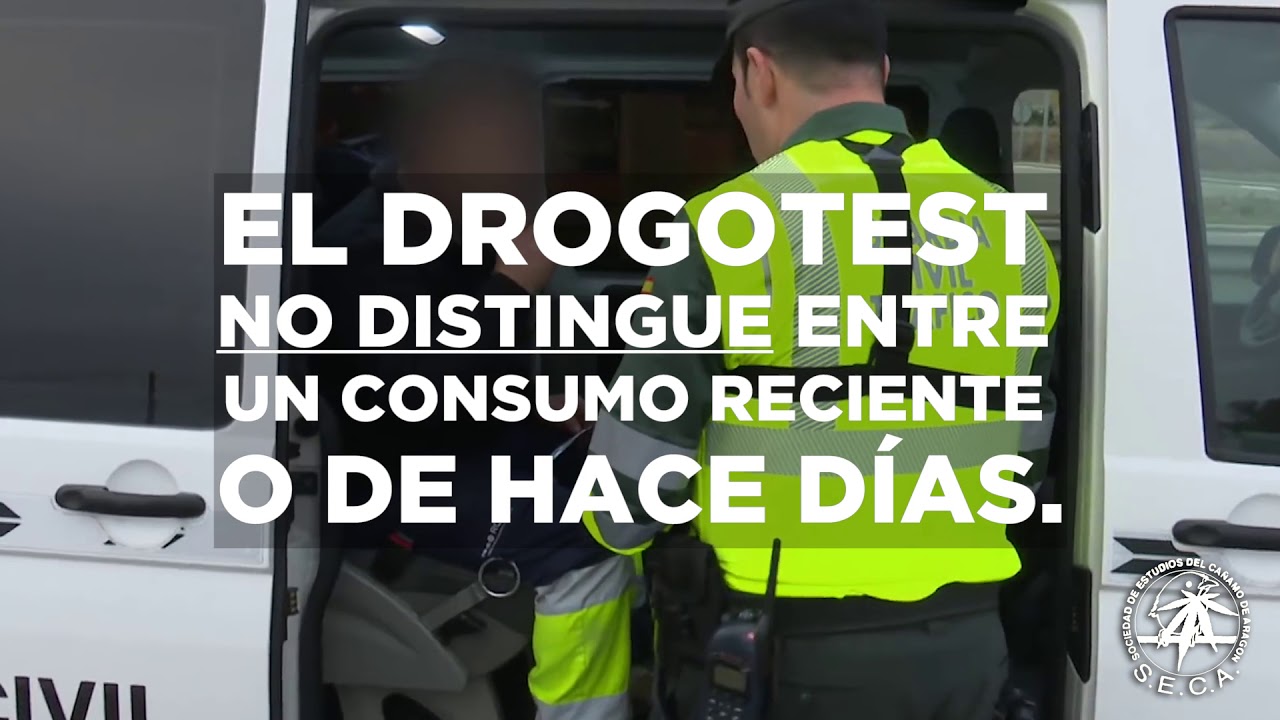 cuanto tarda en llegar una multa de drogas