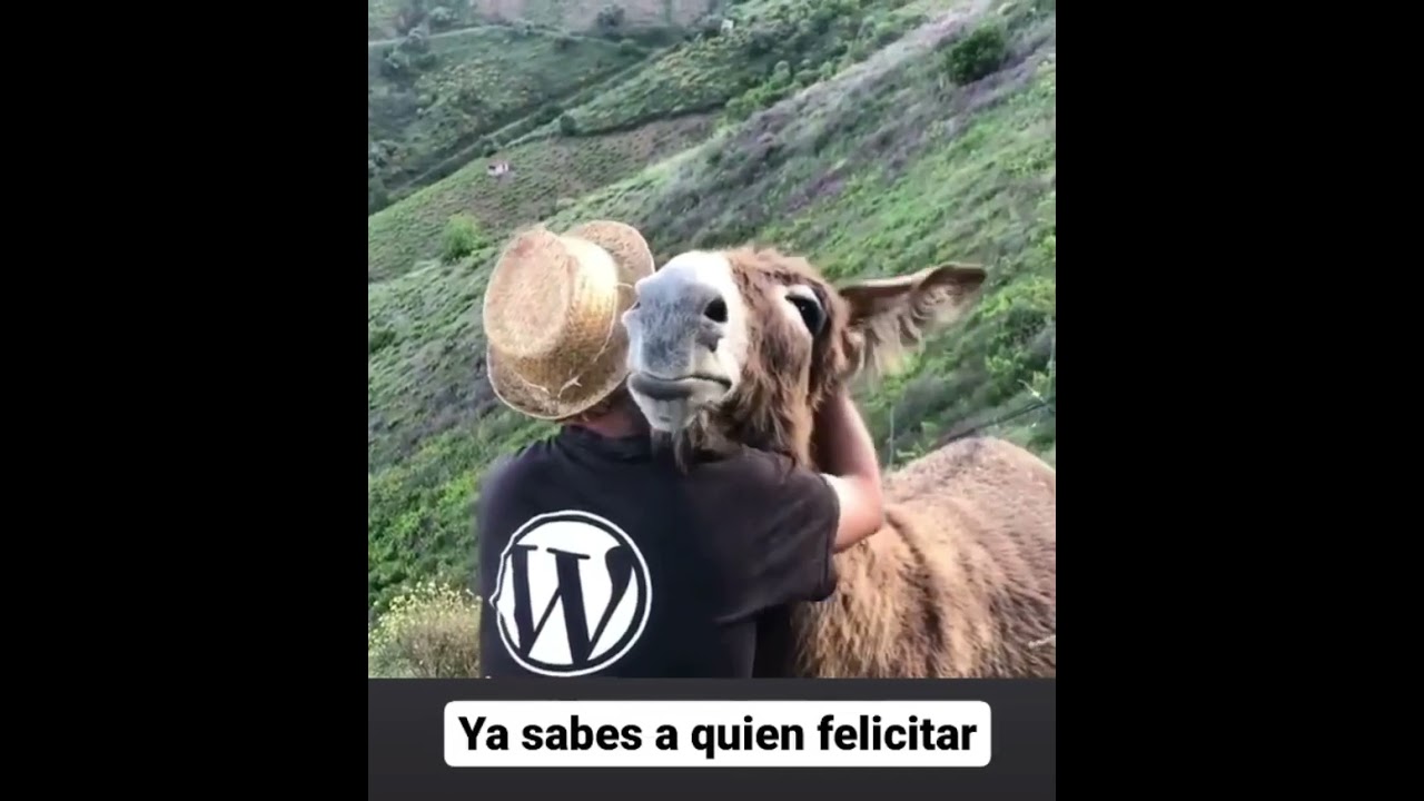 requisitos legales para tener un burro