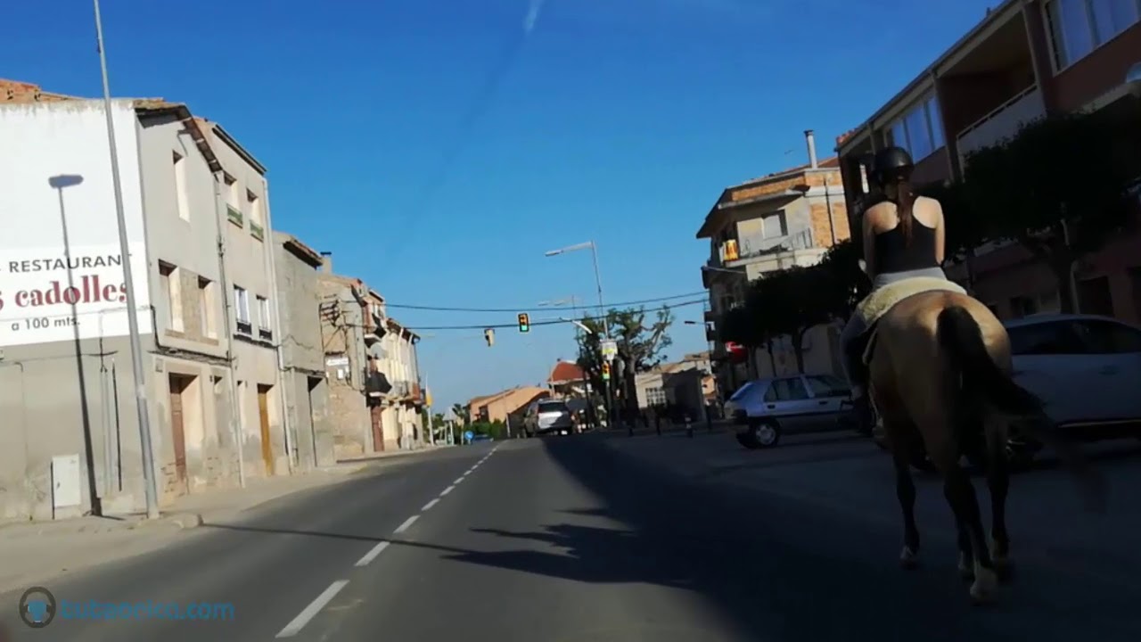 señal entrada prohibida a animales de montura