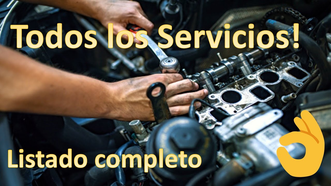 servicio al que se destina el vehículo
