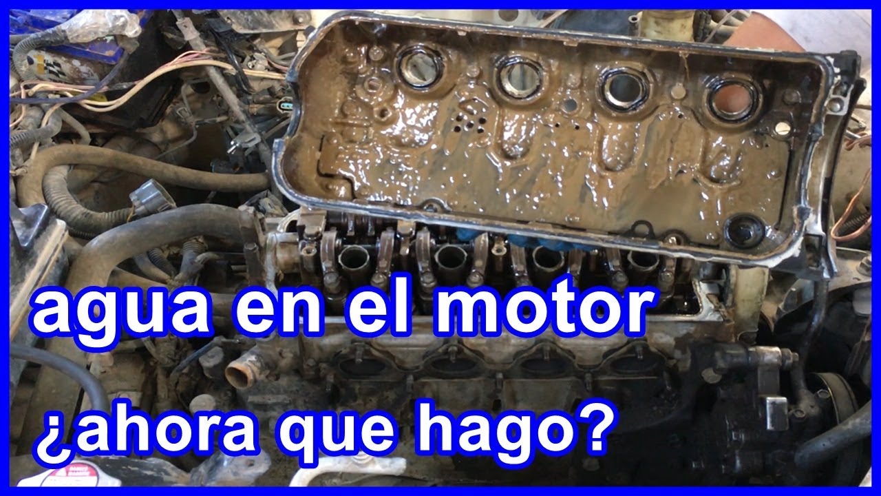 aceite en el agua del coche