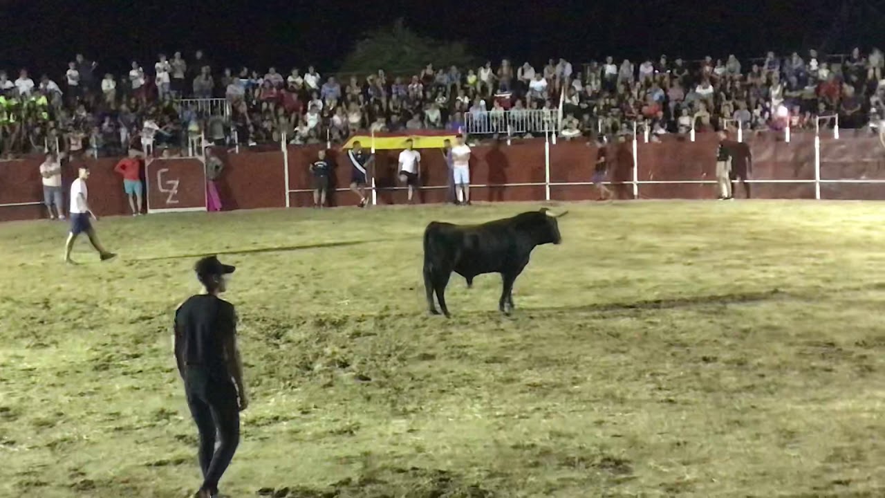 autoescuela el viso de san juan