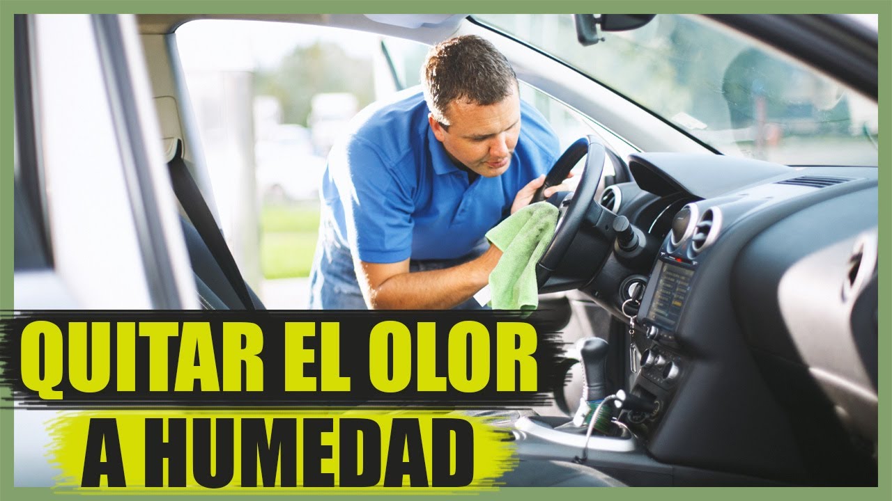 como quitar la humedad del coche