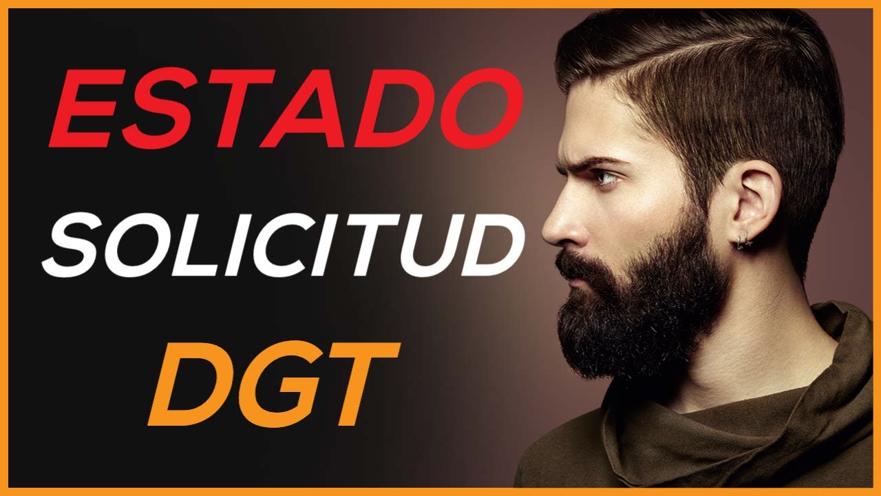 estado de tramitación de mi permiso de conducir