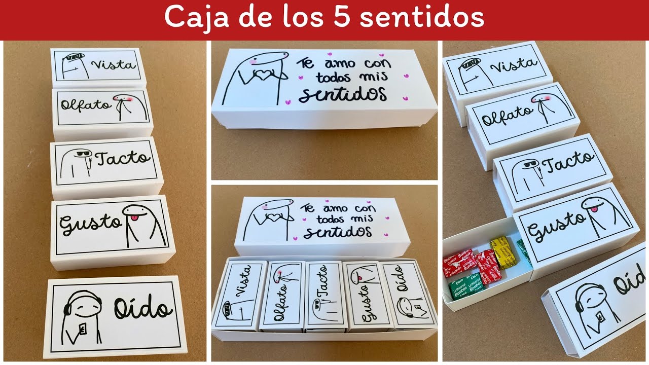 la caja de los 5 sentidos