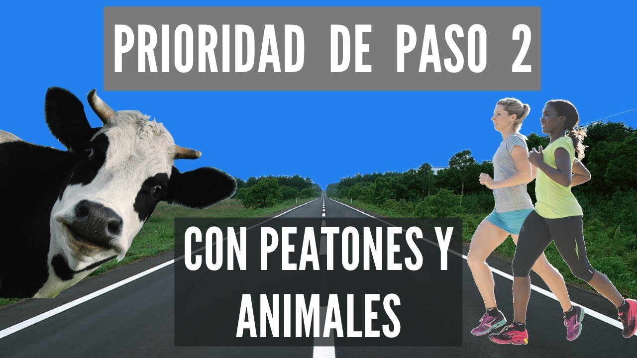 los animales cuándo tienen preferencia de paso