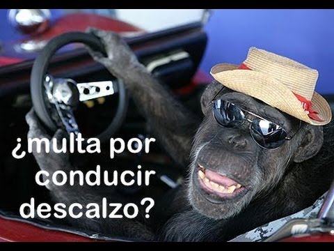 porque no se puede conducir descalzo