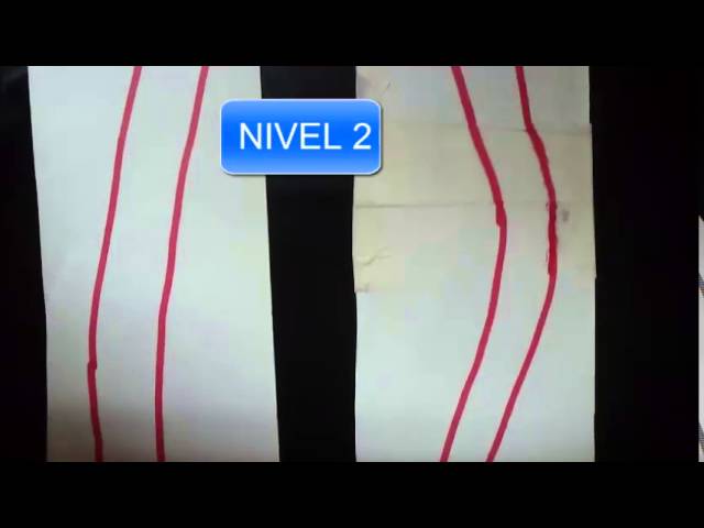 pruebas para renovar el carnet de conducir
