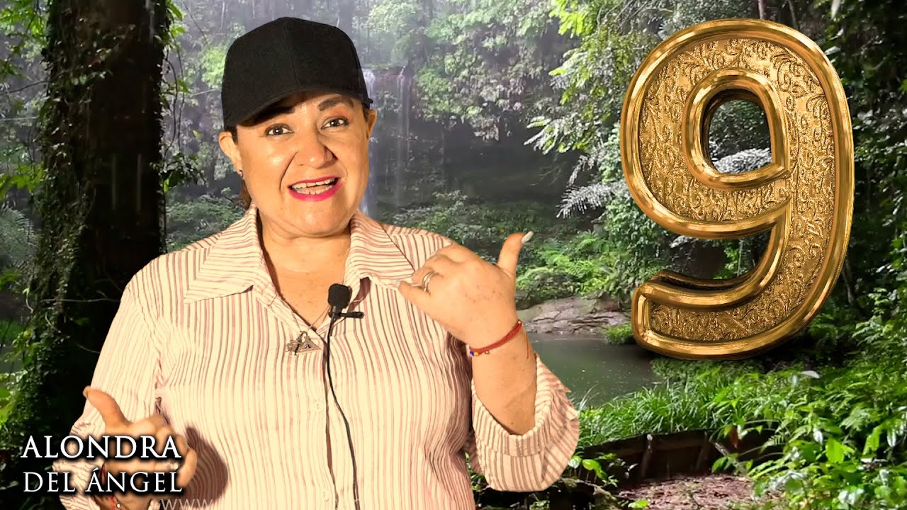 qué significa el número 9 en el carnet de conducir