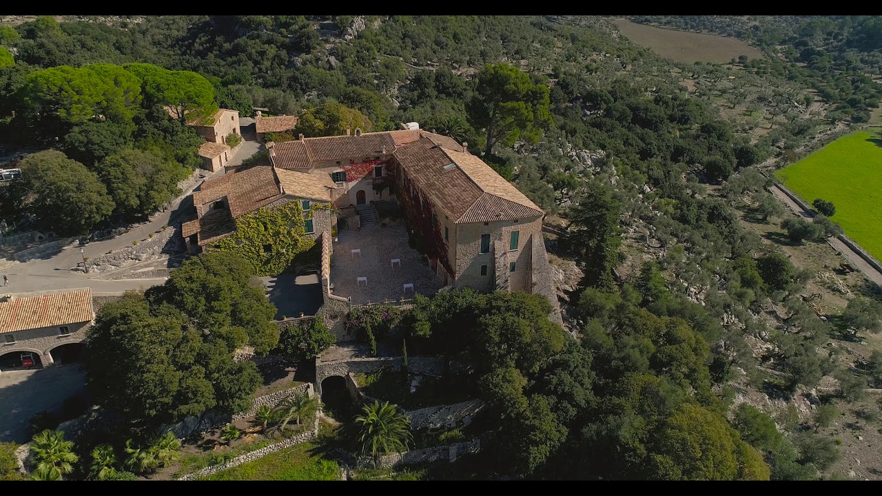 venta de gallinas en ariany mallorca